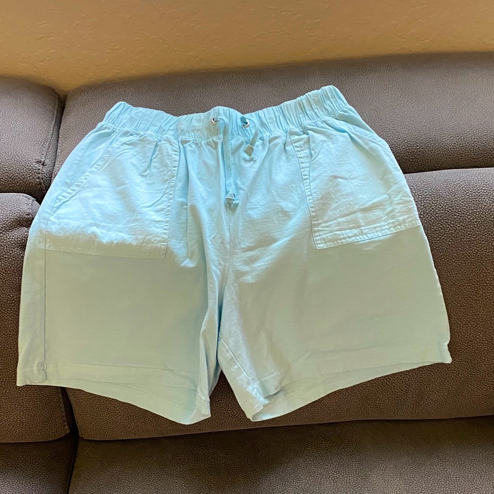 Style & Co. Light Blue Women's Shorts